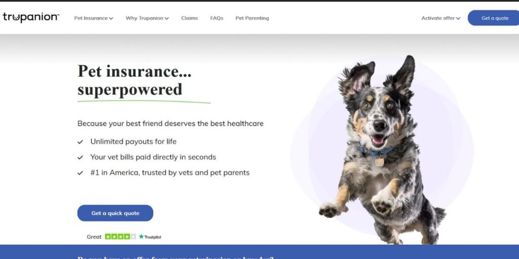 Factors to Consider When Selecting a Pet Insurance Provider