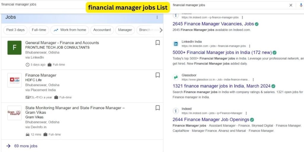 financial manager jobs